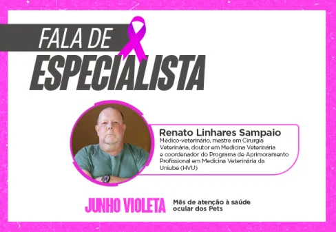 Capa da notícia